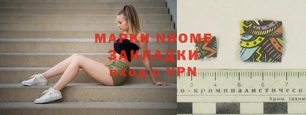 стафф Алзамай