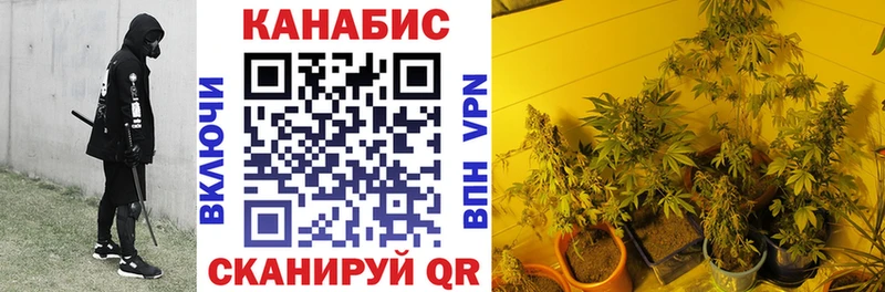 Бошки Шишки White Widow  Макушино 